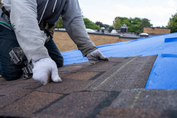 Best Green or Eco-Friendly Roofing Solutions  in Bradner, OH